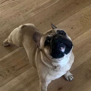 Meet your Posher, Kiley